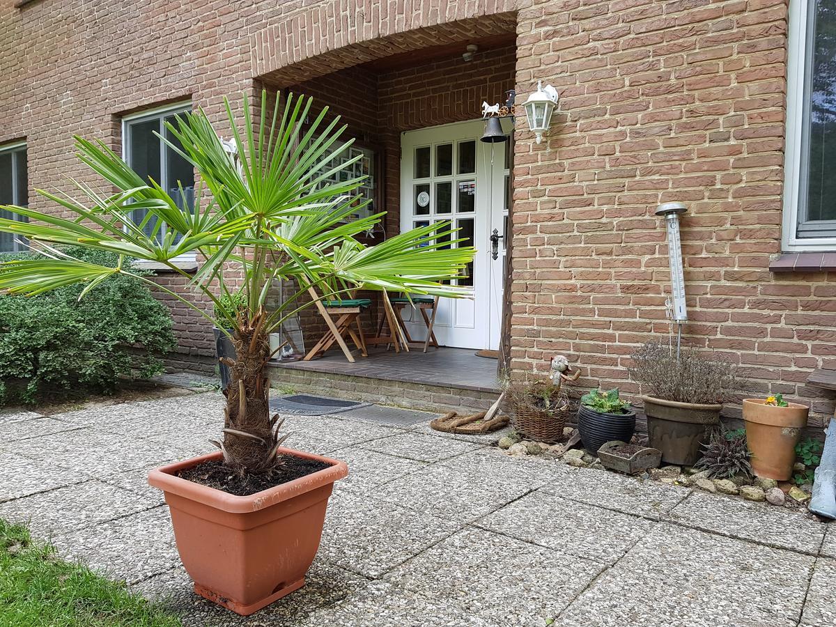 Pension 'Das Kleine Landhaus' Oberhaverbeck Luaran gambar